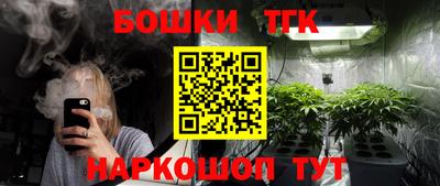 дживик Кингисепп