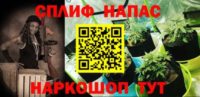 дживик Кимры