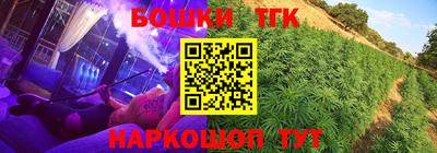 дживик Кингисепп