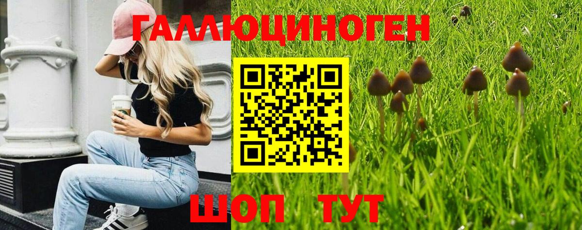 Псилоцибиновые грибы прущие грибы Кимовск